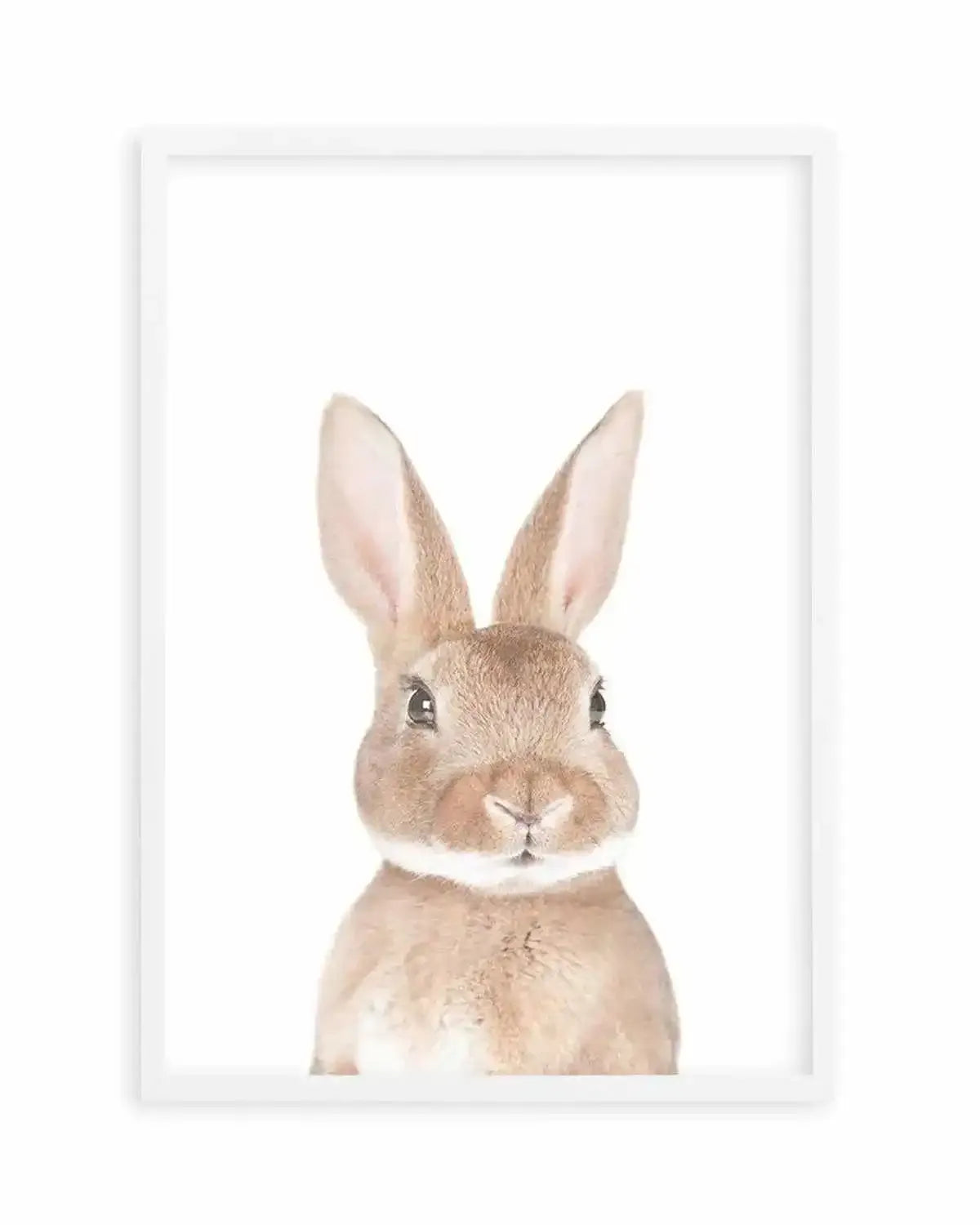 Little Bunny Art Print from Olive et Oriel where you can shop wallpaper and artworks online