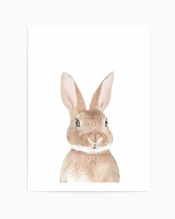 Art Print (illustration):
"Watercolour art print featuring a close-up illustration of a light brown bunny with long ears and a white muzzle, looking directly forward with a soft, gentle expression on a plain white background."