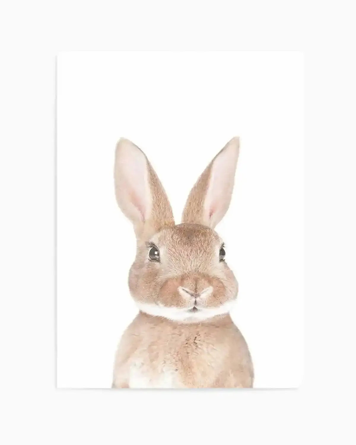 Little Bunny Art Print from Olive et Oriel where you can shop wallpaper and artworks online