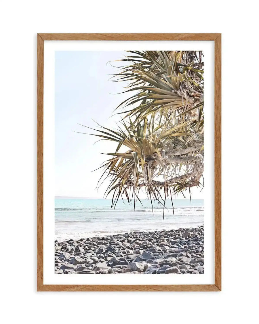 Framed photography art print of a tropical beach scene with a natural wood frame and white border. The composition features the spiky green leaves of a pandanus tree hanging down from the top right, overlooking a calm turquoise ocean with gentle white waves, and a foreground of smooth grey pebbles on the beach.