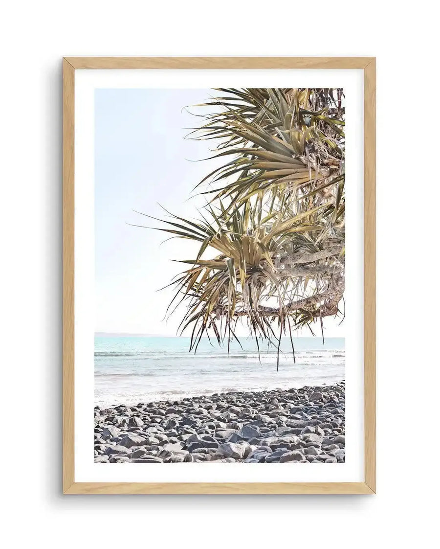 Framed photography print of a coastal beach scene with natural wood frame and white border. The composition features the underside of a pandanus tree with long, spiky green and brown leaves hanging down in the foreground, with a light blue ocean and a rocky beach stretching into the distance under a bright, clear sky.