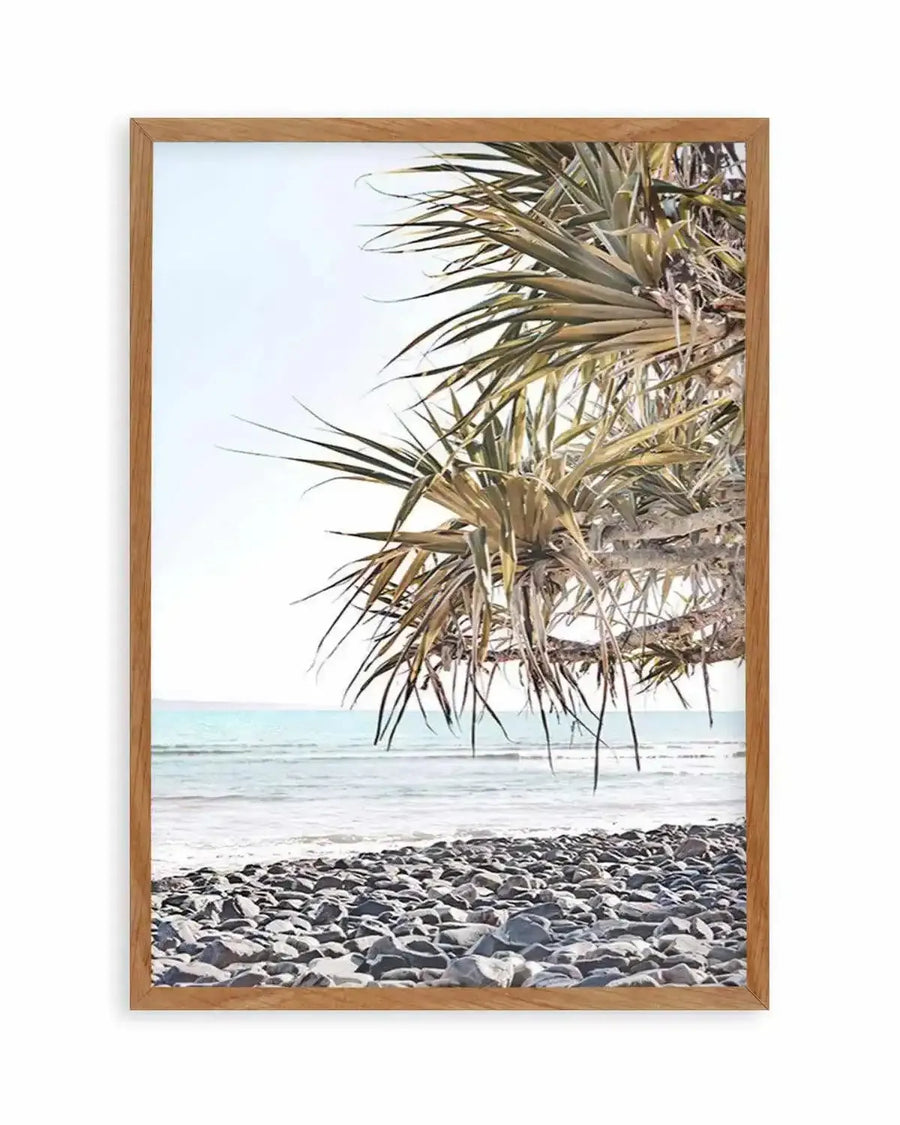Little Cove Noosa | PT Art Print from Olive et Oriel where you can shop wallpaper and artworks online