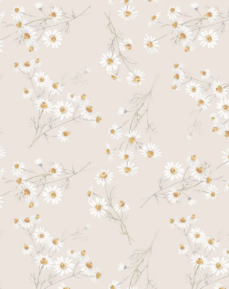 Peel and stick wallpaper featuring a repeating pattern of hand-painted daisy flowers with white petals and warm golden-yellow centers, scattered across a soft beige background. The delicate botanical design includes subtle grey-green stems and leaves, giving it a loose, watercolour quality.