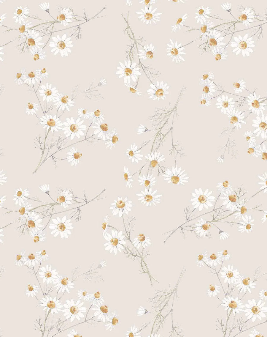 Peel and stick wallpaper featuring a repeating pattern of hand-painted daisy flowers with white petals and warm golden-yellow centers, scattered across a soft beige background. The delicate botanical design includes subtle grey-green stems and leaves, giving it a loose, watercolour quality.