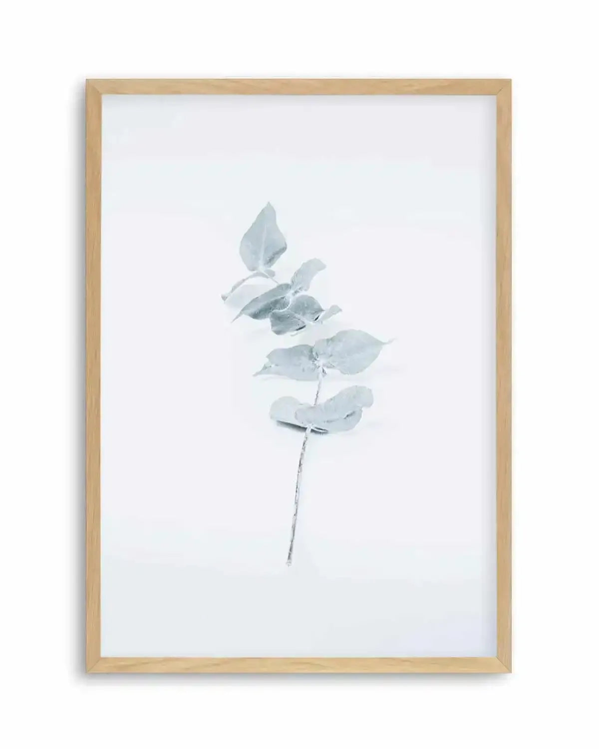 Little Eucalyptus Art Print from Olive et Oriel where you can shop wallpaper and artworks online