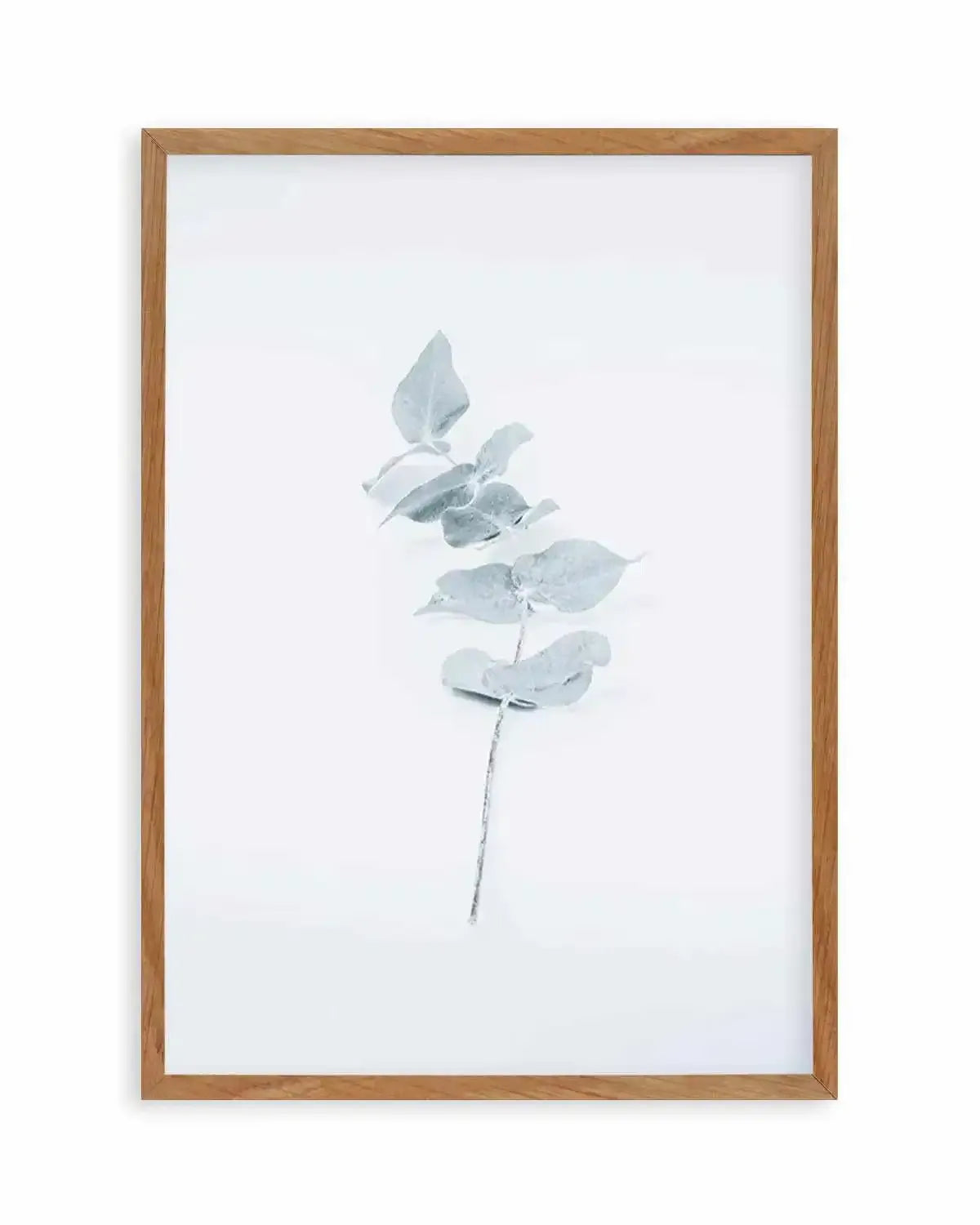 Little Eucalyptus Art Print from Olive et Oriel where you can shop wallpaper and artworks online