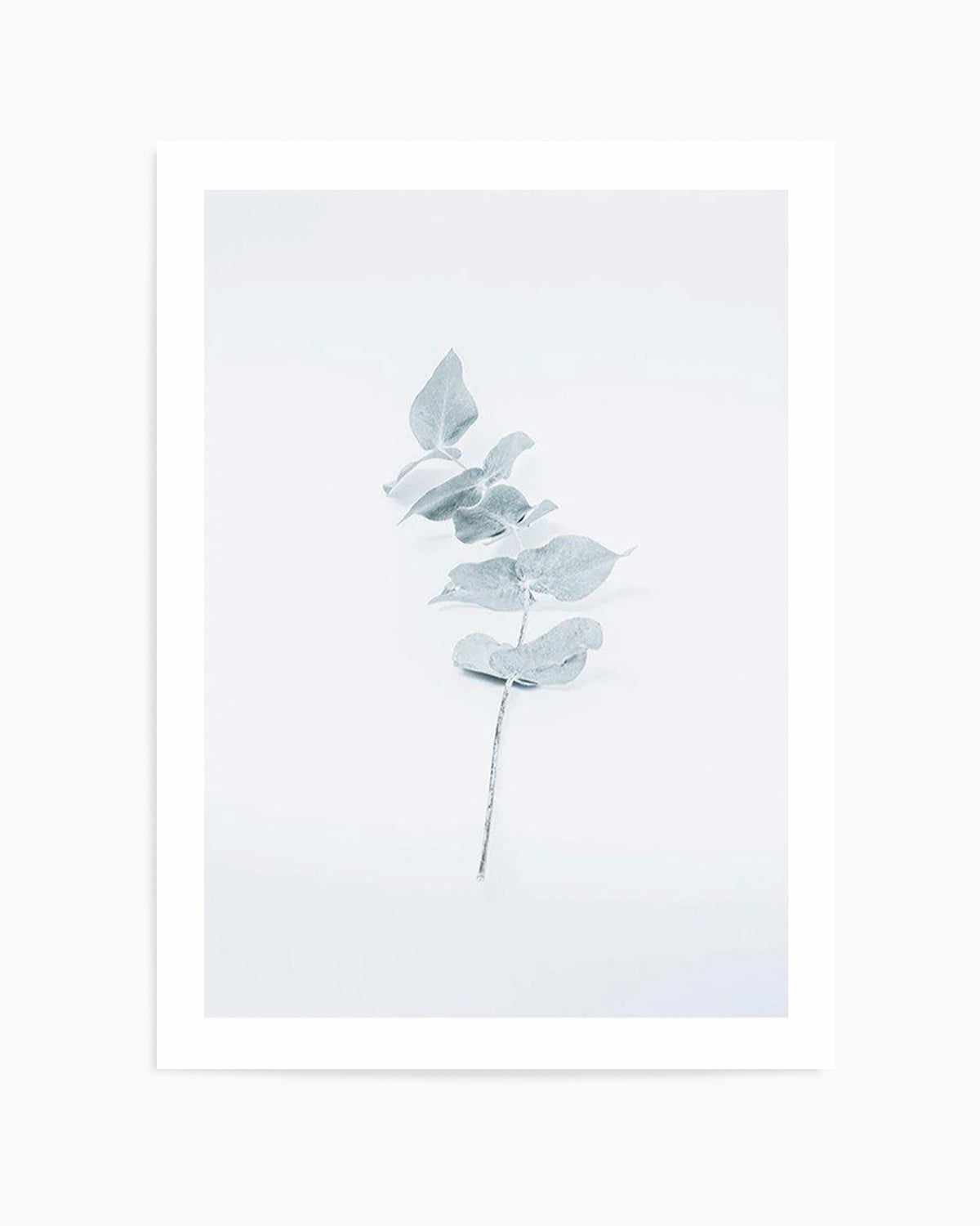 Little Eucalyptus Art Print