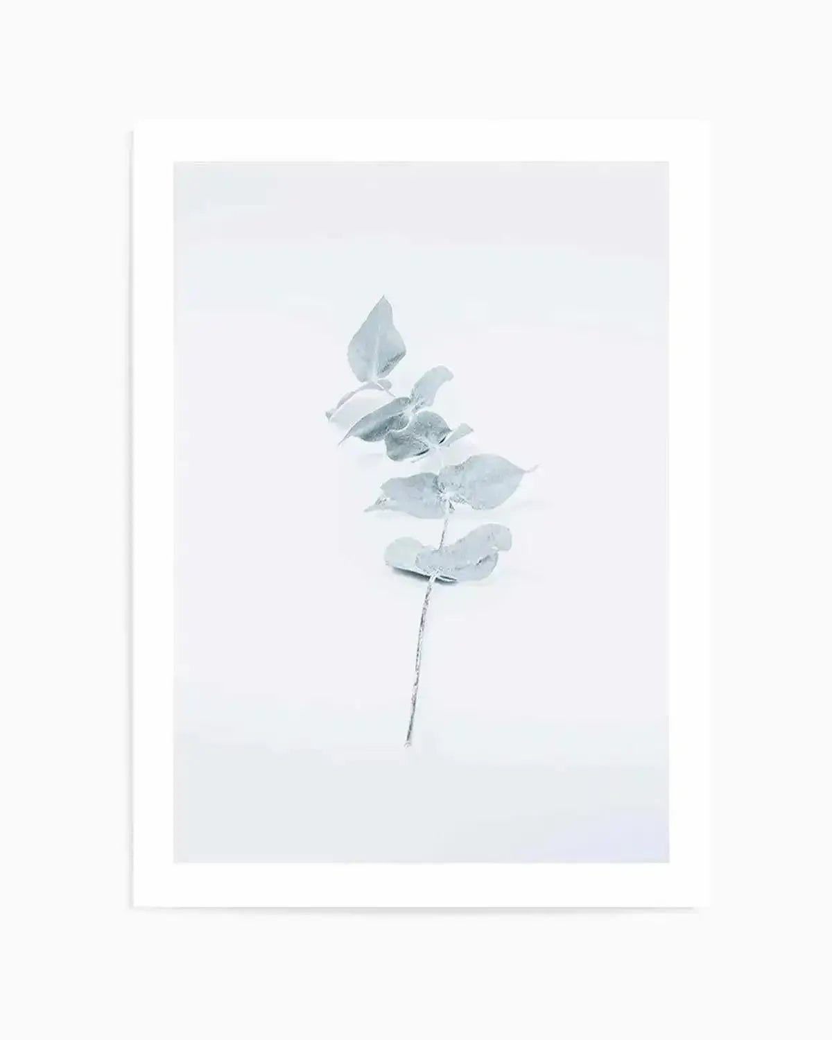 Little Eucalyptus Art Print from Olive et Oriel where you can shop wallpaper and artworks online