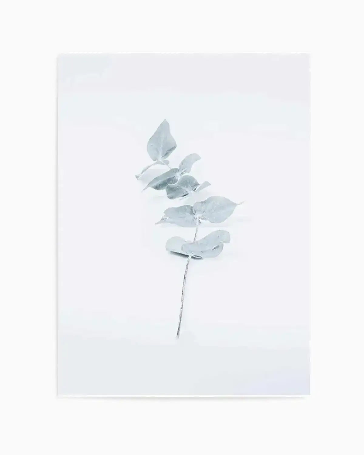 Little Eucalyptus Art Print from Olive et Oriel where you can shop wallpaper and artworks online