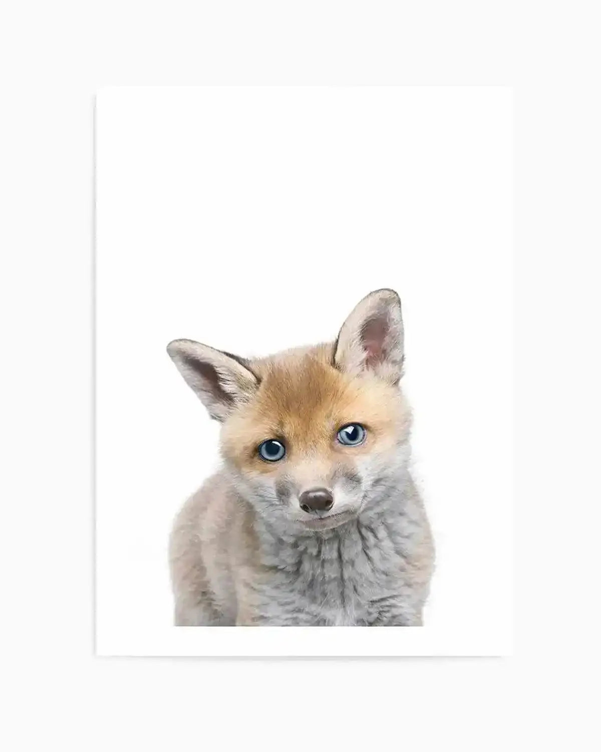 Little Fox Art Print from Olive et Oriel where you can shop wallpaper and artworks online