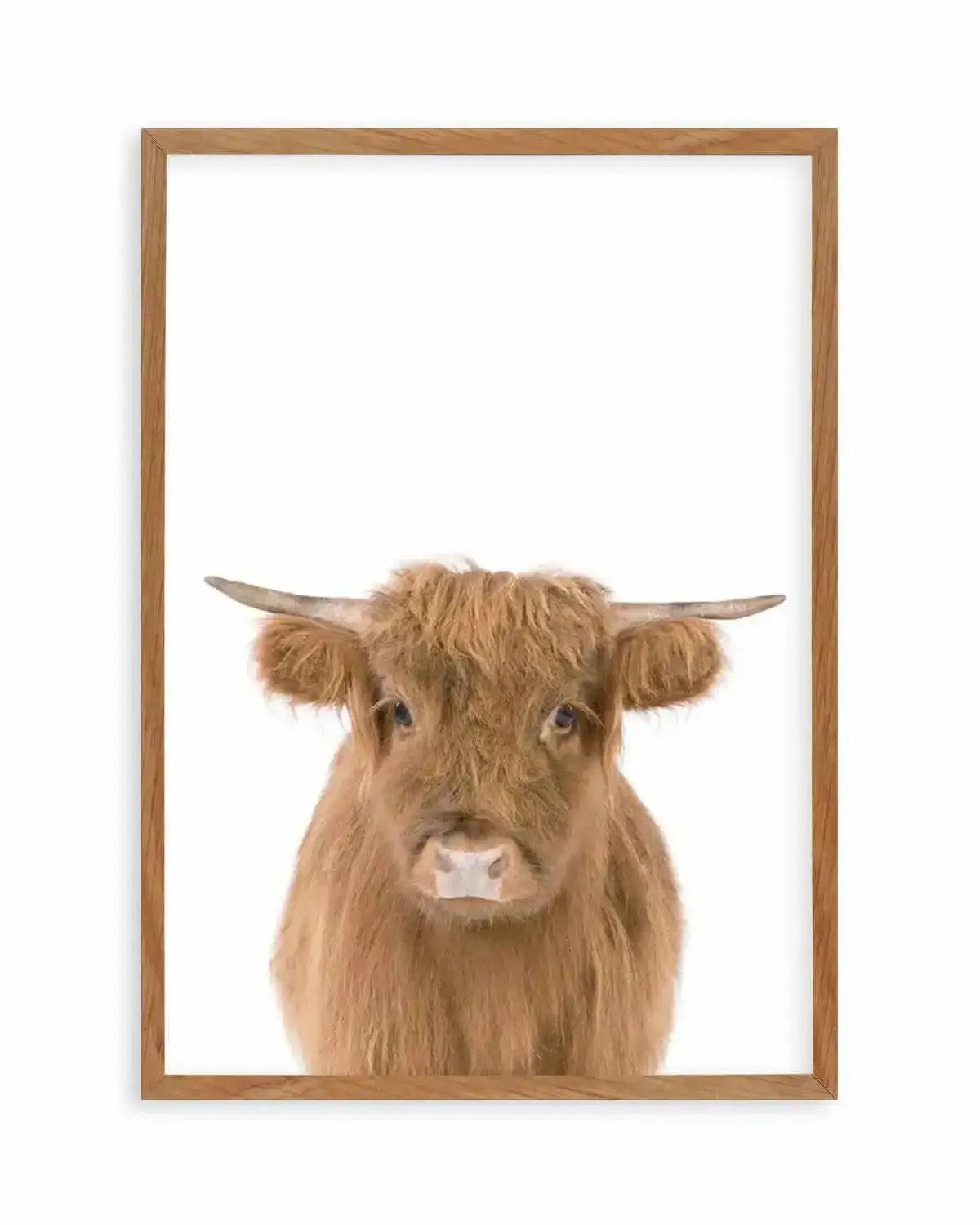 Little Highlander Cow Art Print from Olive et Oriel where you can shop wallpaper and artworks online