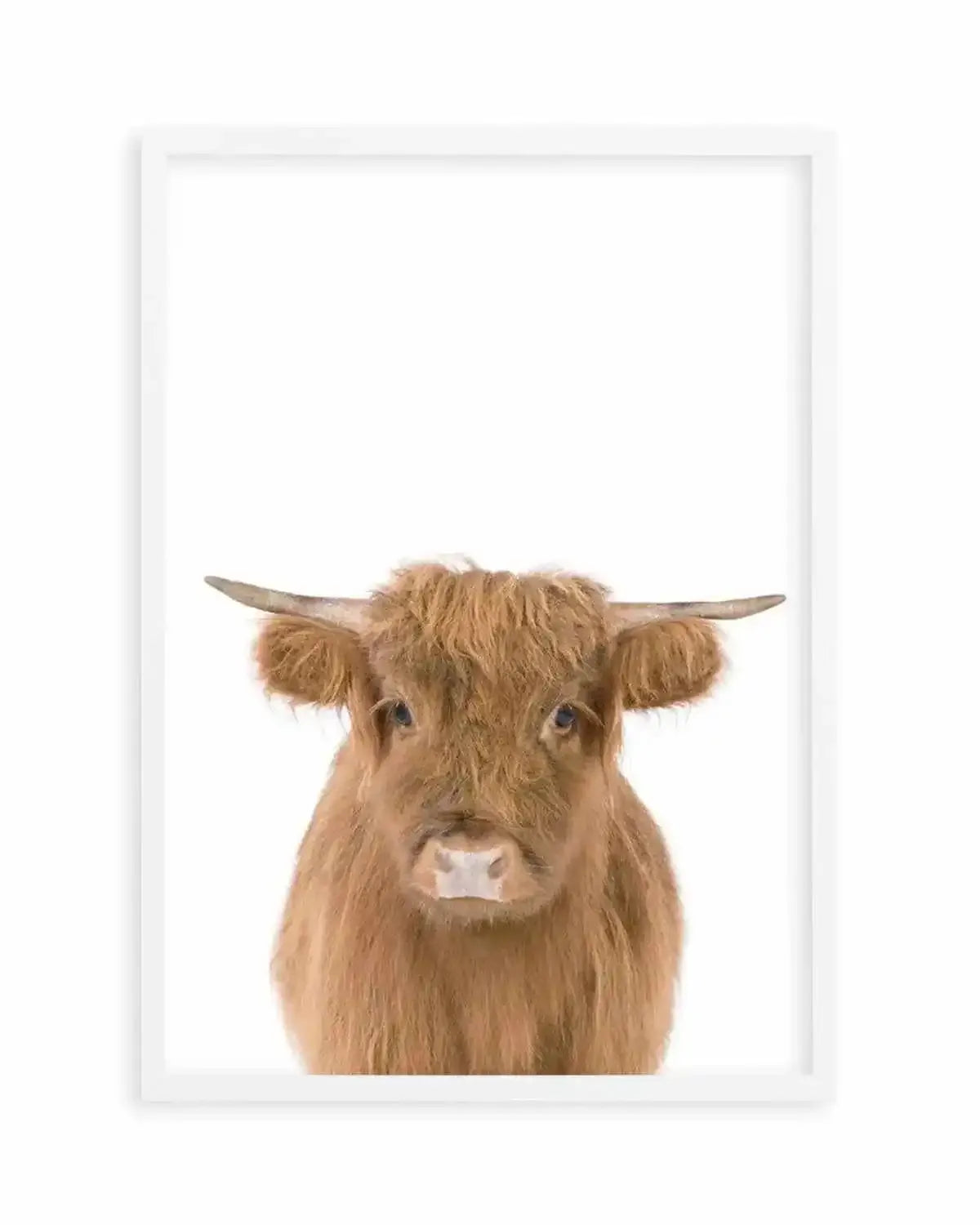 Little Highlander Cow Art Print from Olive et Oriel where you can shop wallpaper and artworks online
