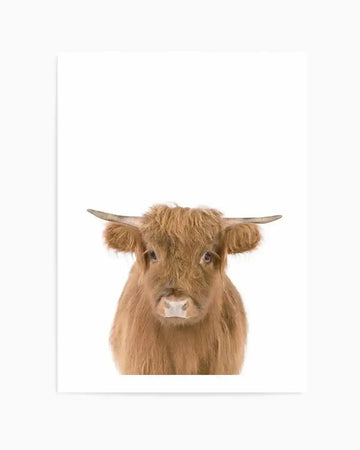 "Photography art print featuring a close-up portrait of a fluffy brown Highland cow against a stark white background. The cow has shaggy, light brown fur, small horns, and is looking directly at the viewer with a gentle expression, capturing fine hair texture and natural colour gradients."