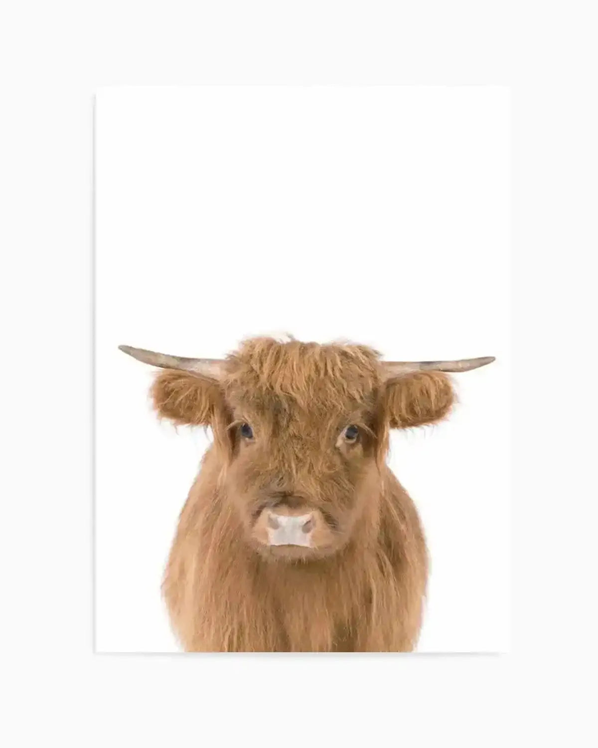 Little Highlander Cow Art Print from Olive et Oriel where you can shop wallpaper and artworks online