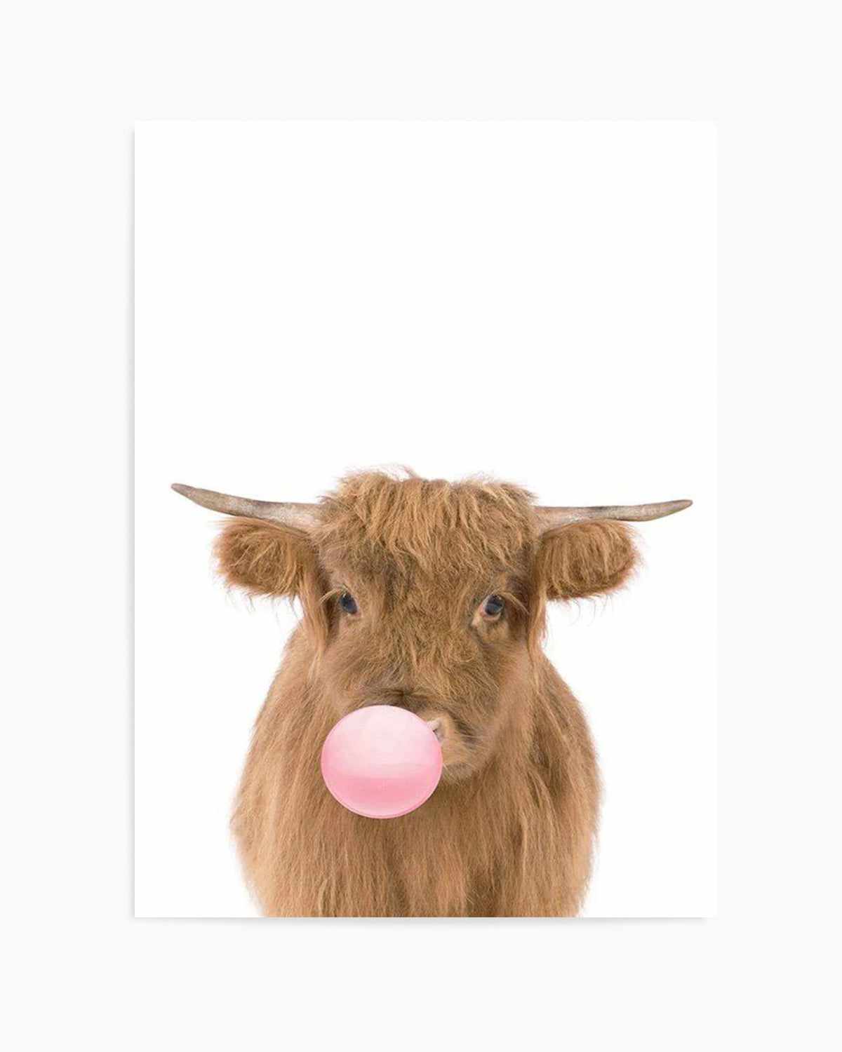 Little Highlander Cow | Blowing Pink Bubble Art Print