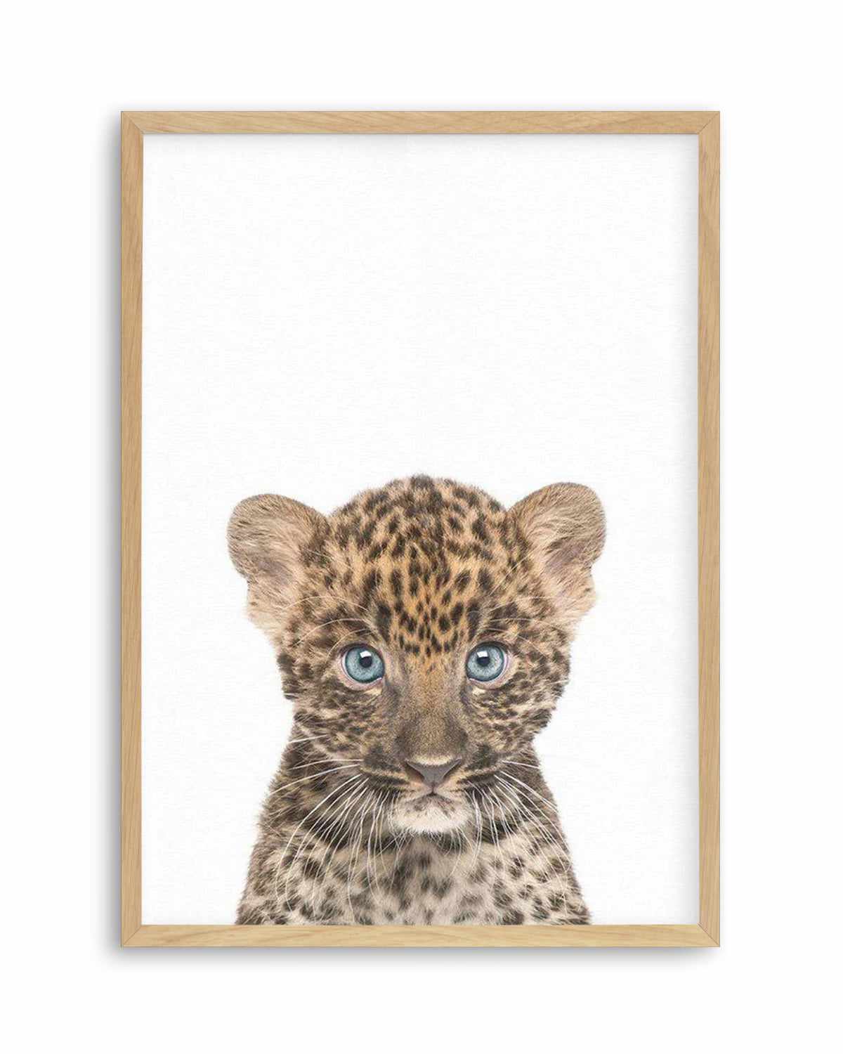 Little Leopard Cub Art Print