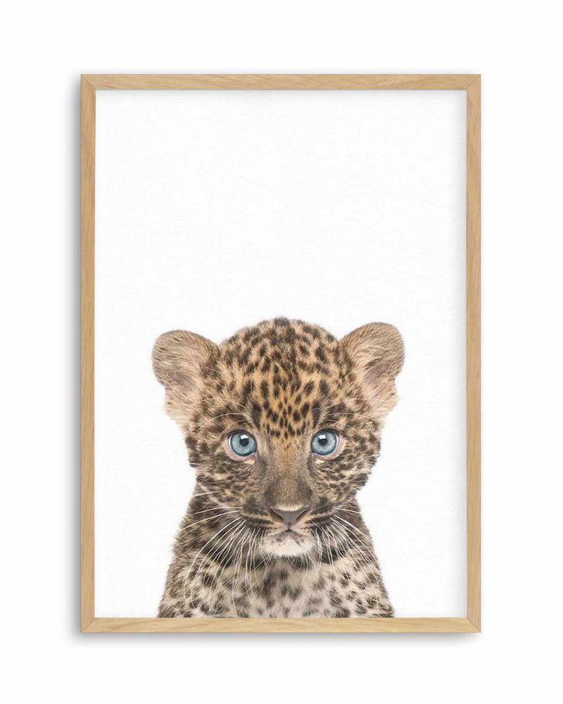 Little Leopard Cub Art Print