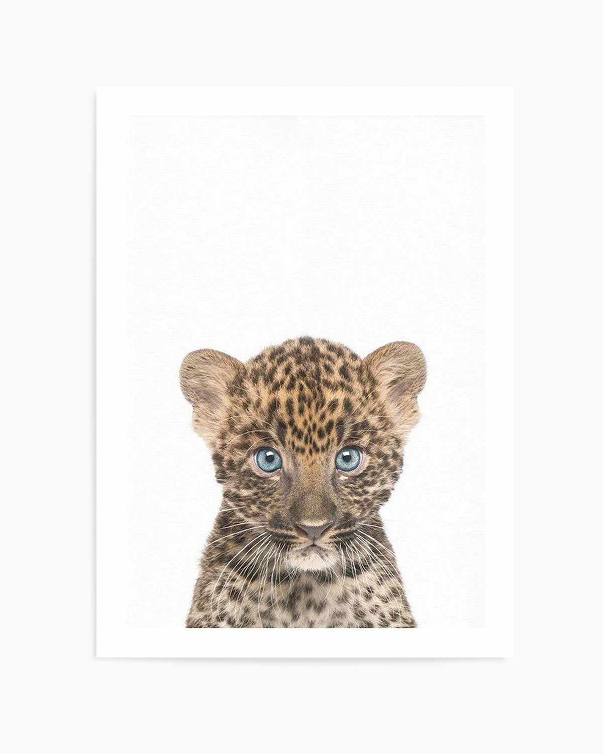 Little Leopard Cub Art Print