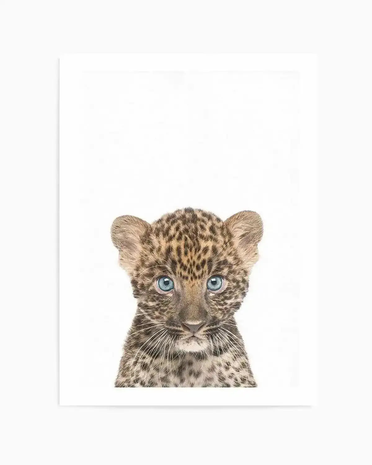 Little Leopard Cub Art Print from Olive et Oriel where you can shop wallpaper and artworks online