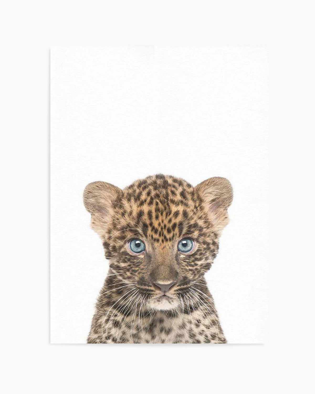 Little Leopard Cub Art Print