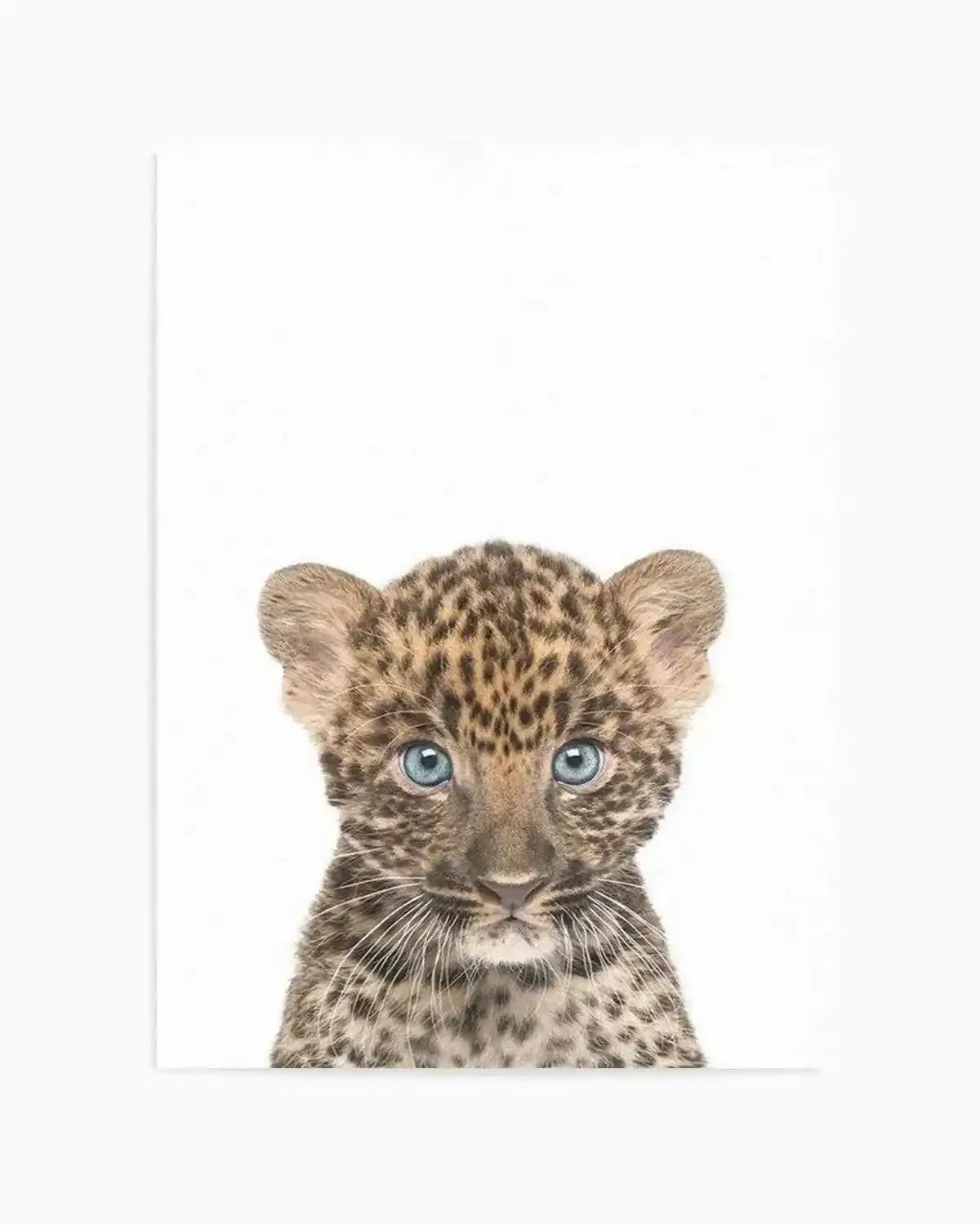 Little Leopard Cub Art Print from Olive et Oriel where you can shop wallpaper and artworks online