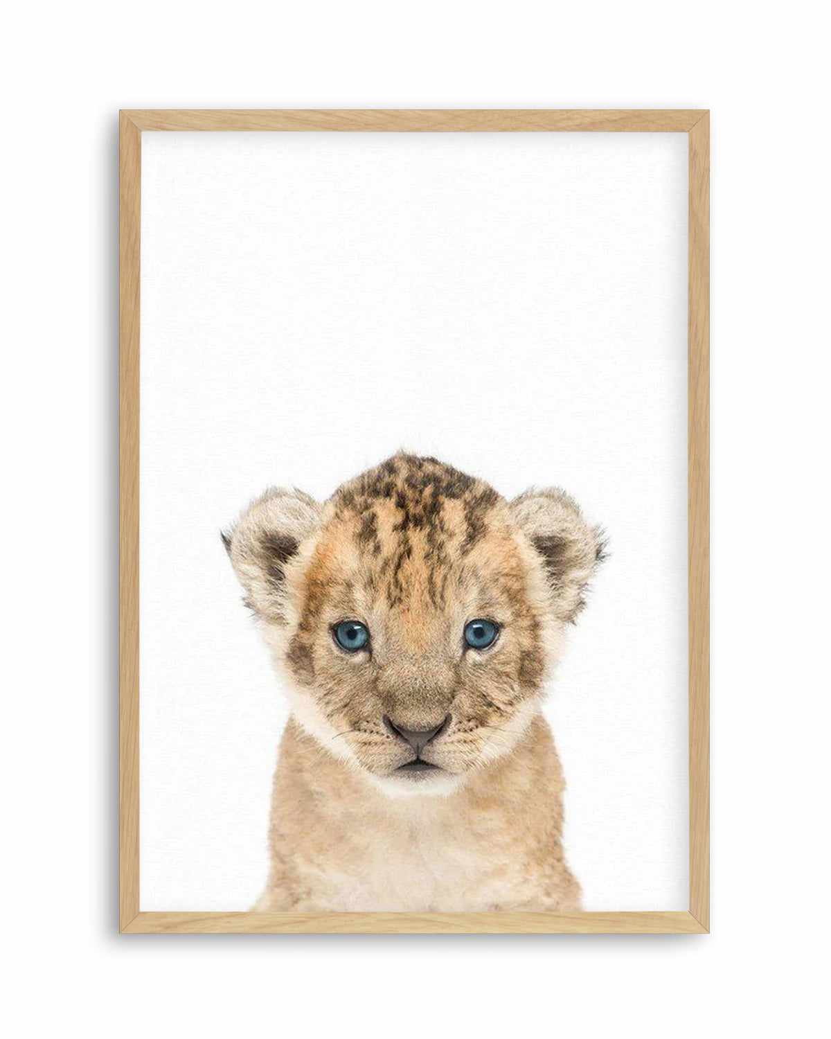 Little Lion Cub Art Print