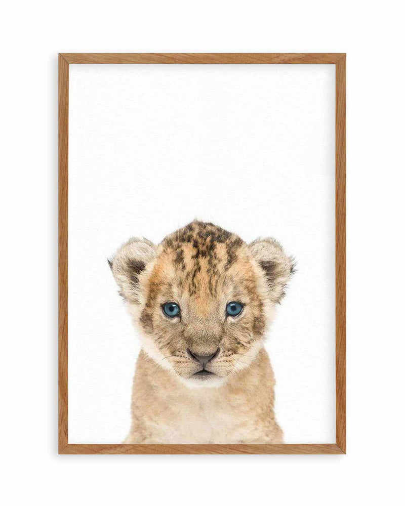 Little Lion Cub Art Print