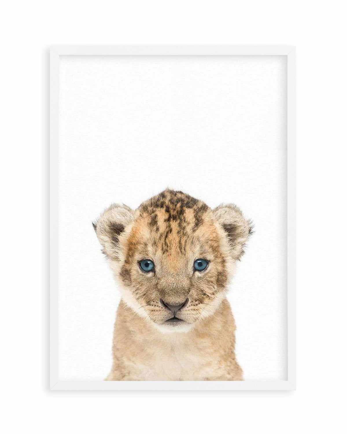 Little Lion Cub Art Print