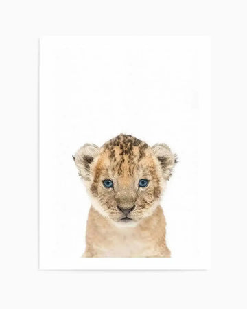 Photography art print featuring a close-up portrait of a baby lion cub with light brown fur and distinct dark brown spots on its head and back, against a stark white background. The cub has striking bright blue eyes and a soft, slightly fuzzy texture to its fur.