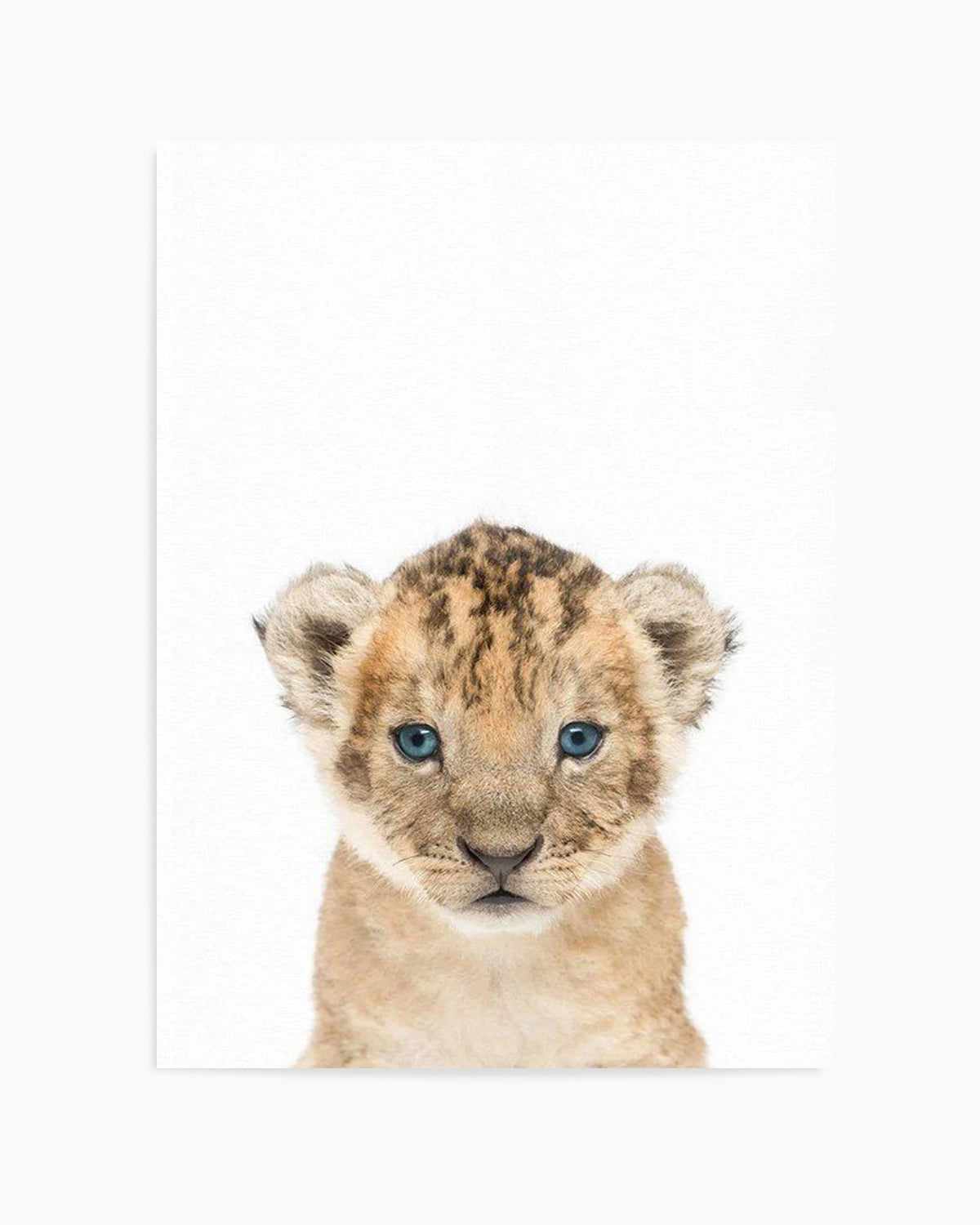 Little Lion Cub Art Print