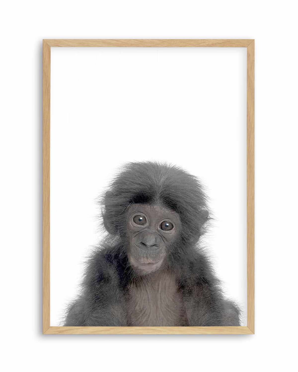 Little Monkey Art Print