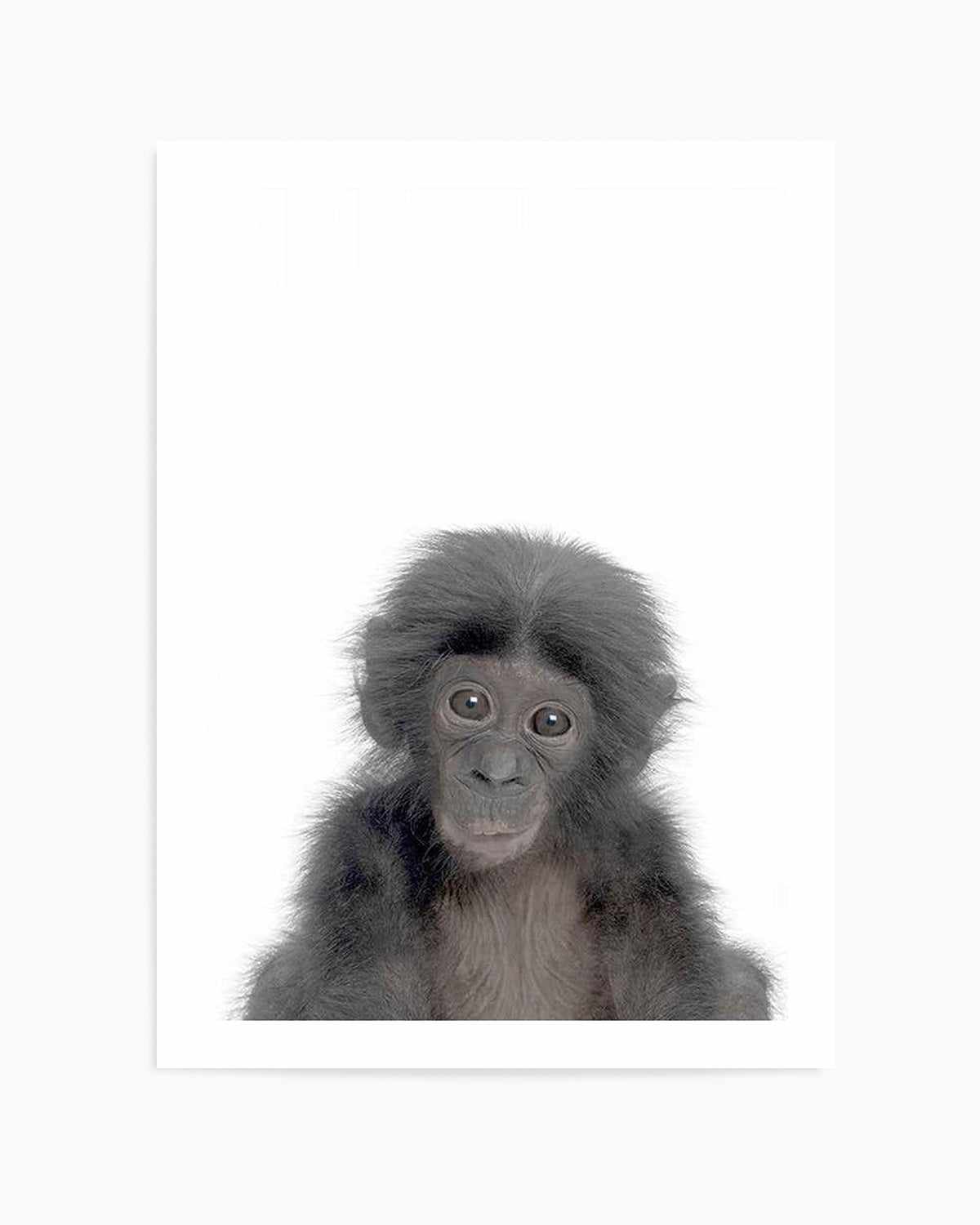 Little Monkey Art Print