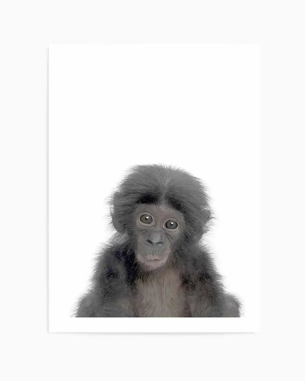 Little Monkey Art Print from Olive et Oriel where you can shop wallpaper and artworks online