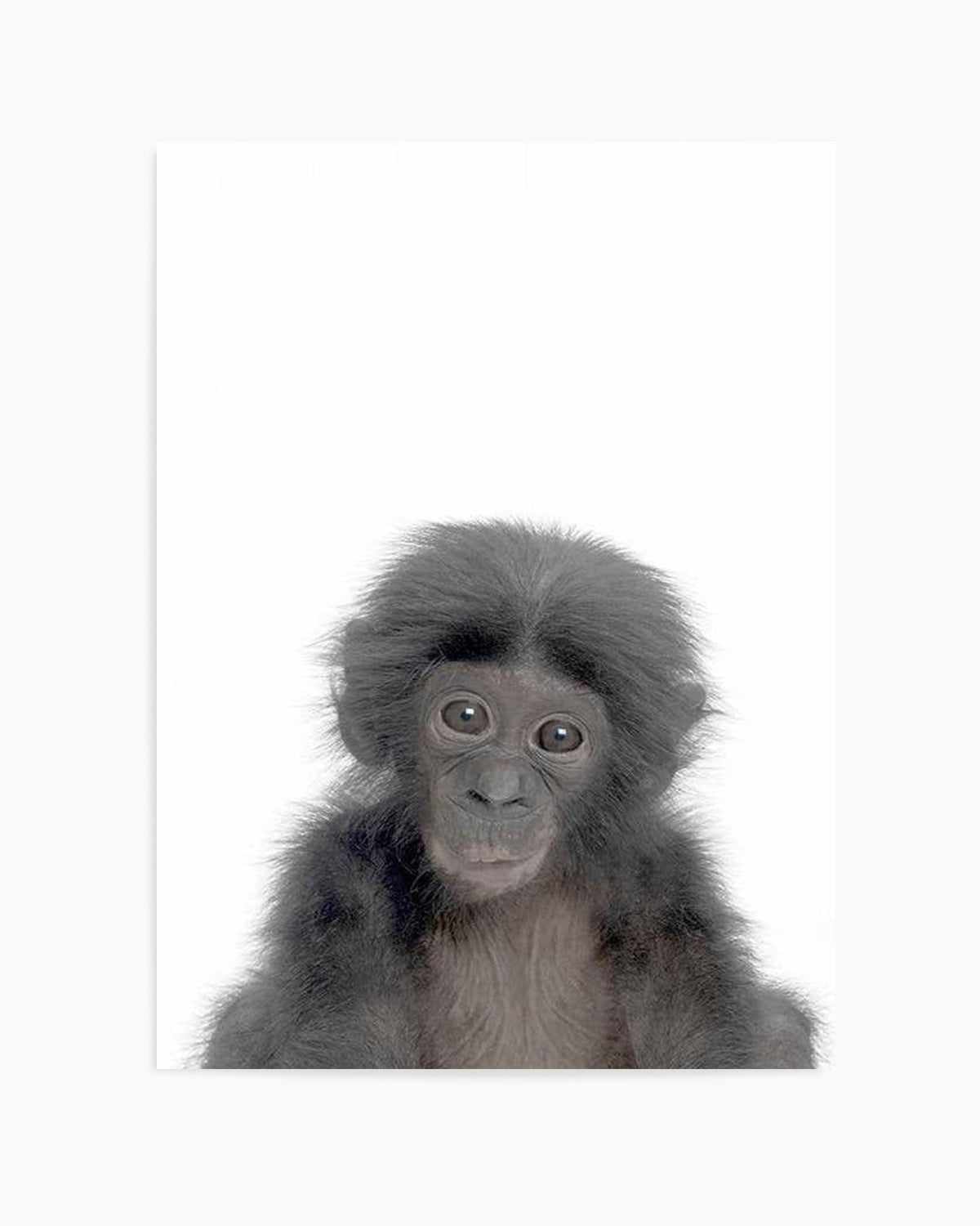 Little Monkey Art Print