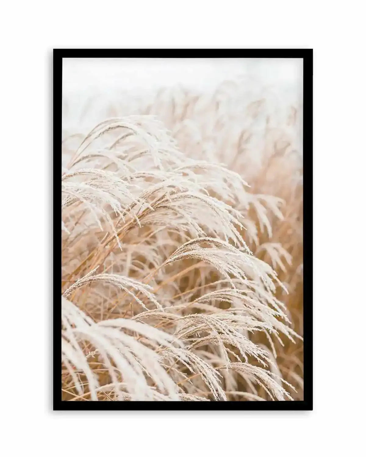 Little Pampas Art Print from Olive et Oriel where you can shop wallpaper and artworks online