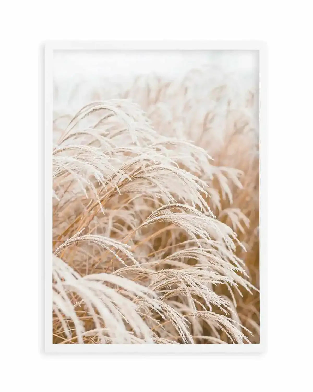 Little Pampas Art Print from Olive et Oriel where you can shop wallpaper and artworks online