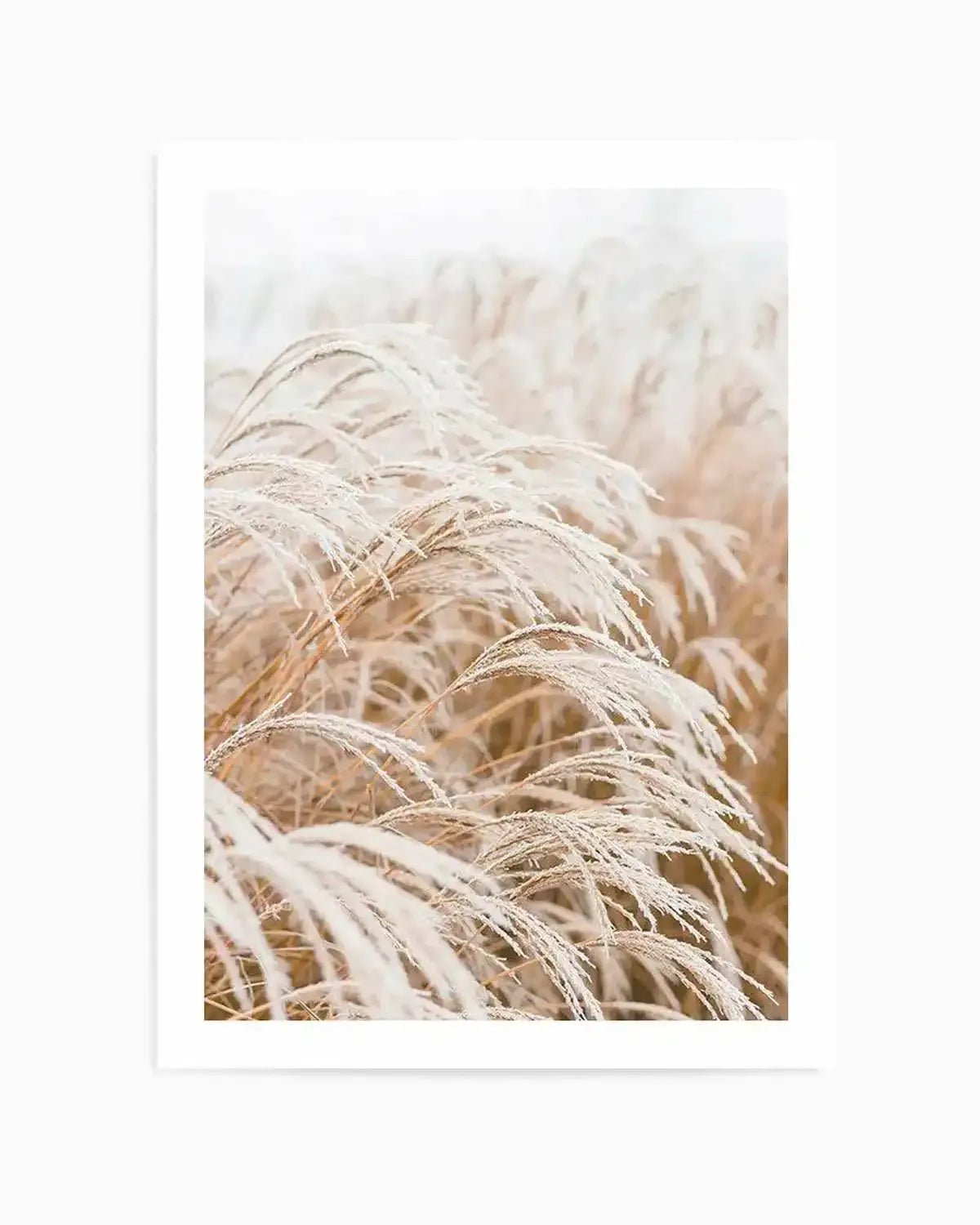 Little Pampas Art Print from Olive et Oriel where you can shop wallpaper and artworks online