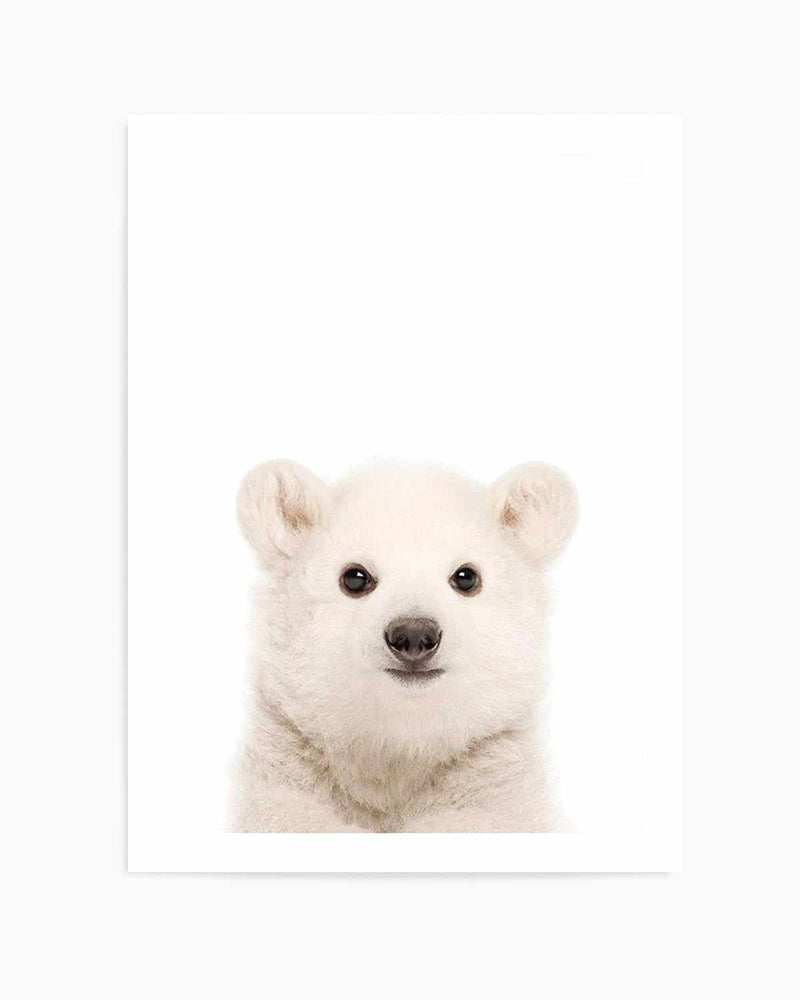 Little Polar Bear Art Print