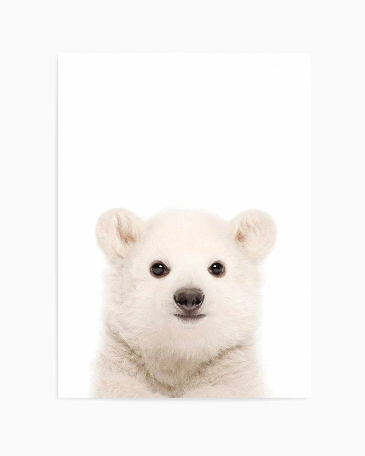 Little Polar Bear Art Print