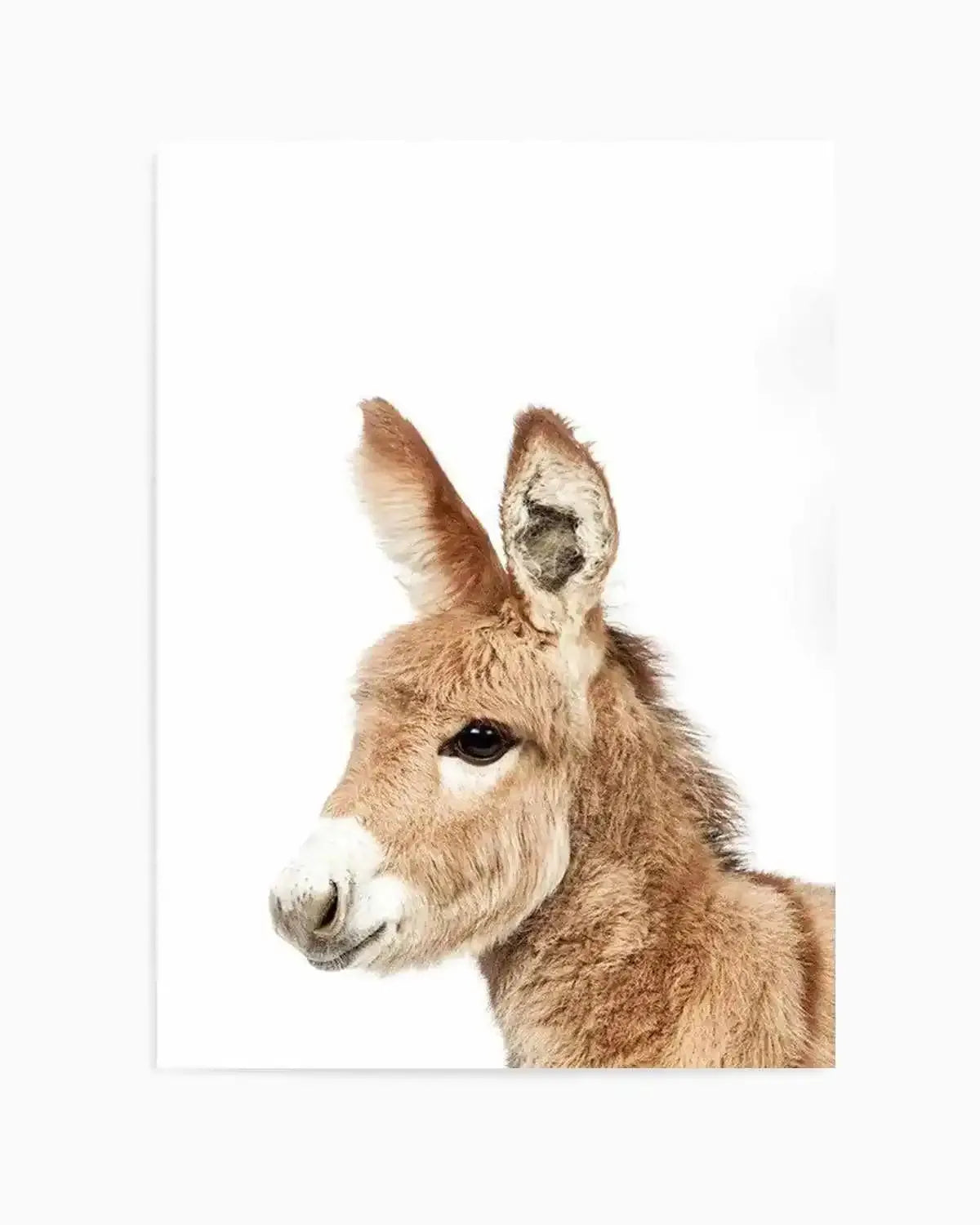 Little Pony Art Print from Olive et Oriel where you can shop wallpaper and artworks online