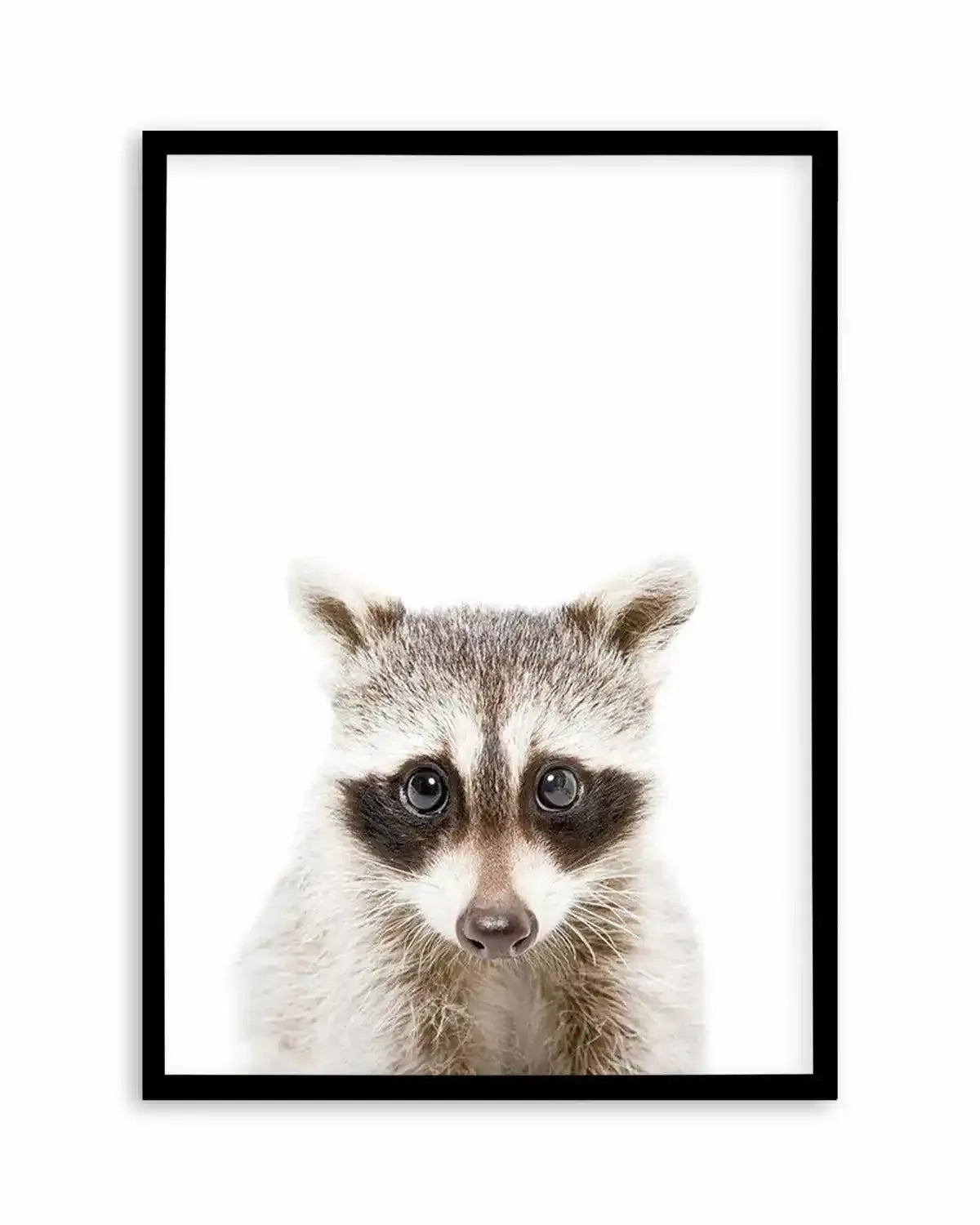 Little Raccoon Art Print from Olive et Oriel where you can shop wallpaper and artworks online