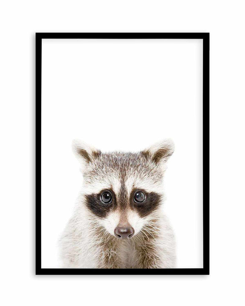 Little Raccoon Art Print