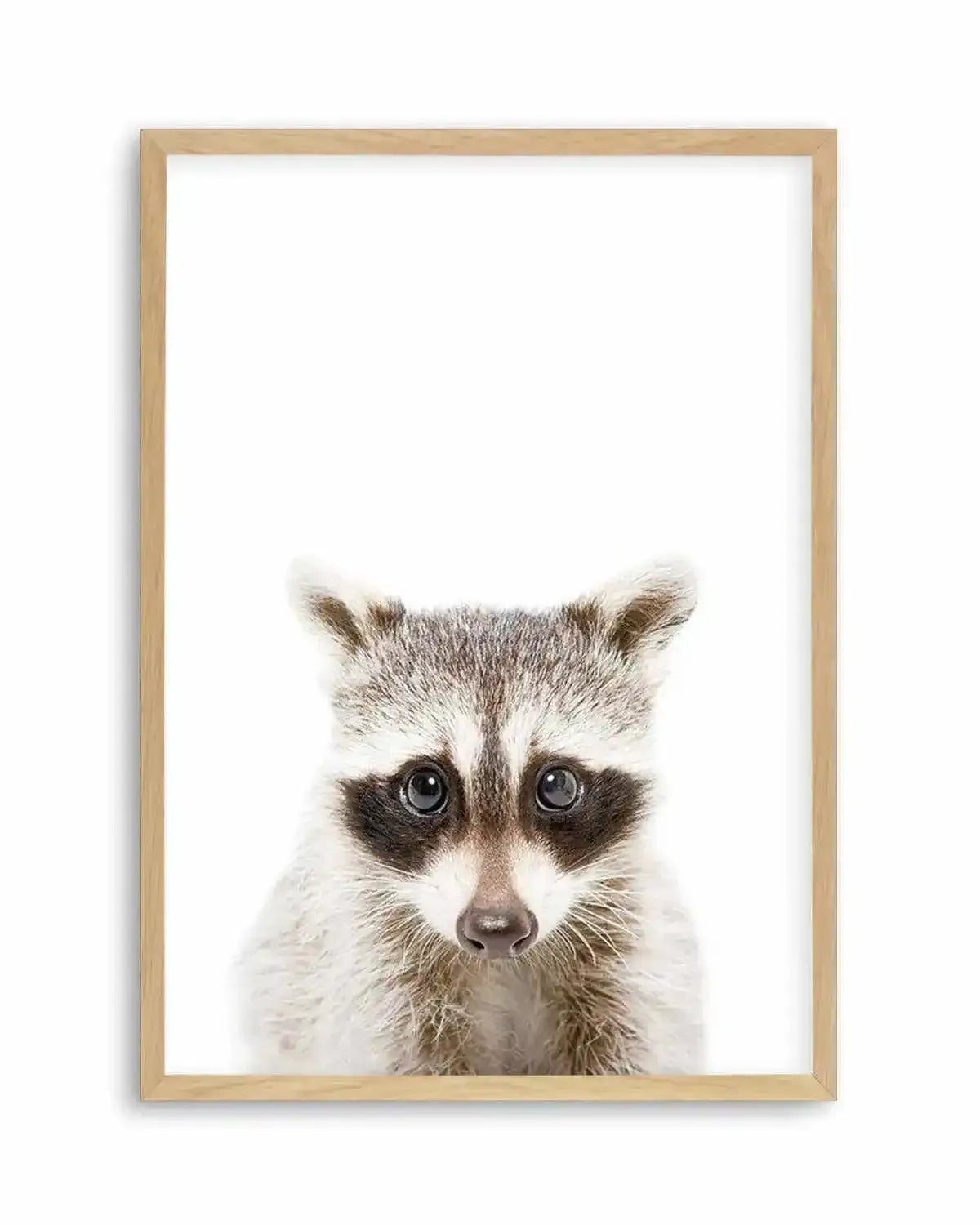 Little Raccoon Art Print from Olive et Oriel where you can shop wallpaper and artworks online