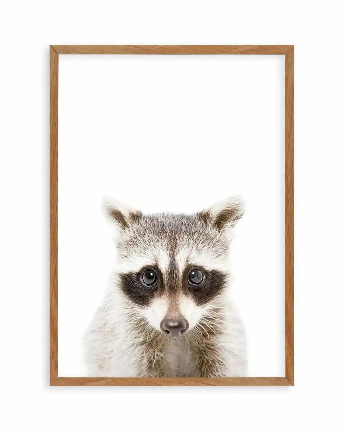 Little Raccoon Art Print from Olive et Oriel where you can shop wallpaper and artworks online