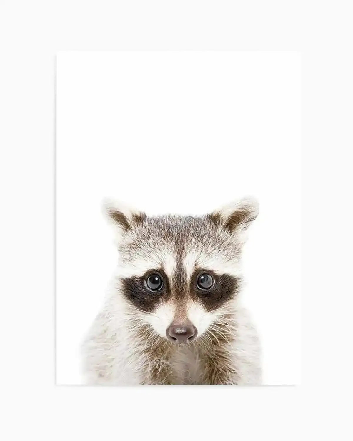 Little Raccoon Art Print from Olive et Oriel where you can shop wallpaper and artworks online