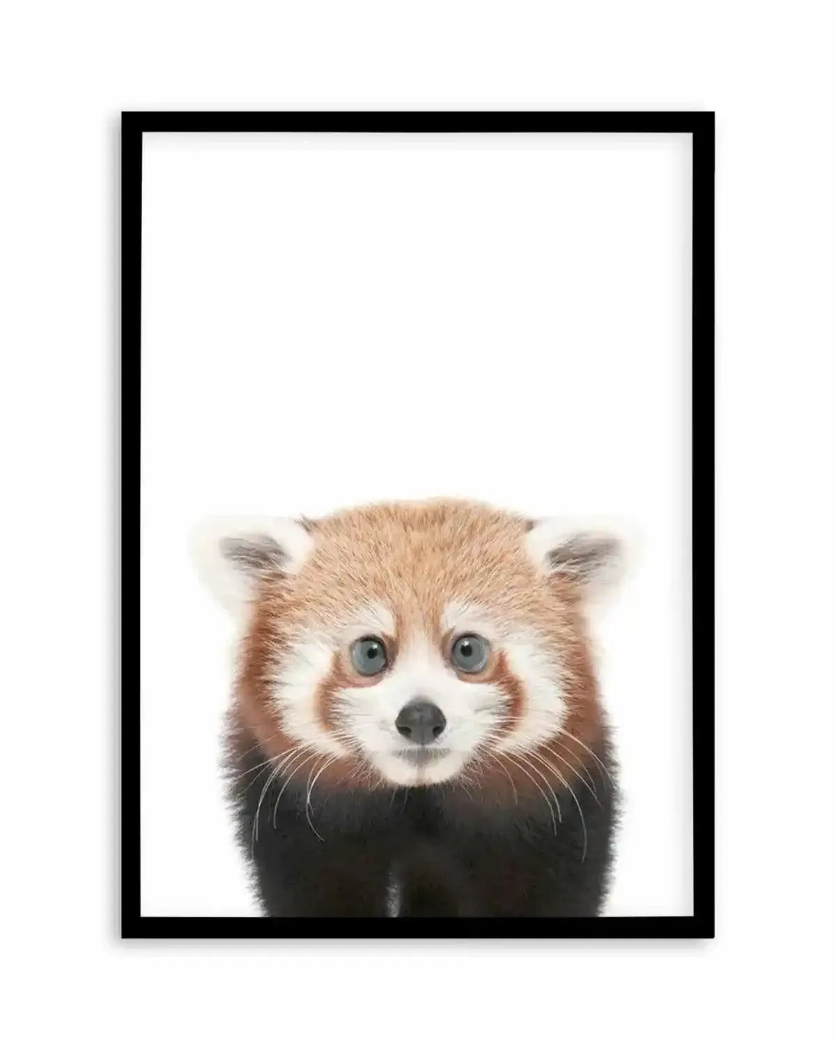 Little Red Panda Art Print from Olive et Oriel where you can shop wallpaper and artworks online