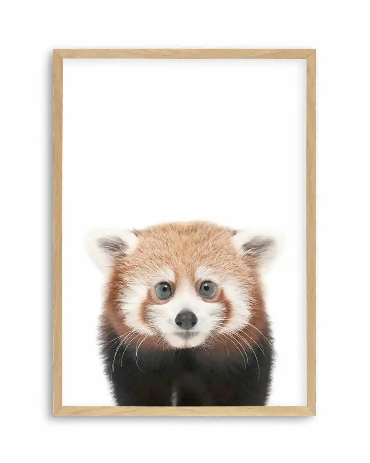 Little Red Panda Art Print from Olive et Oriel where you can shop wallpaper and artworks online