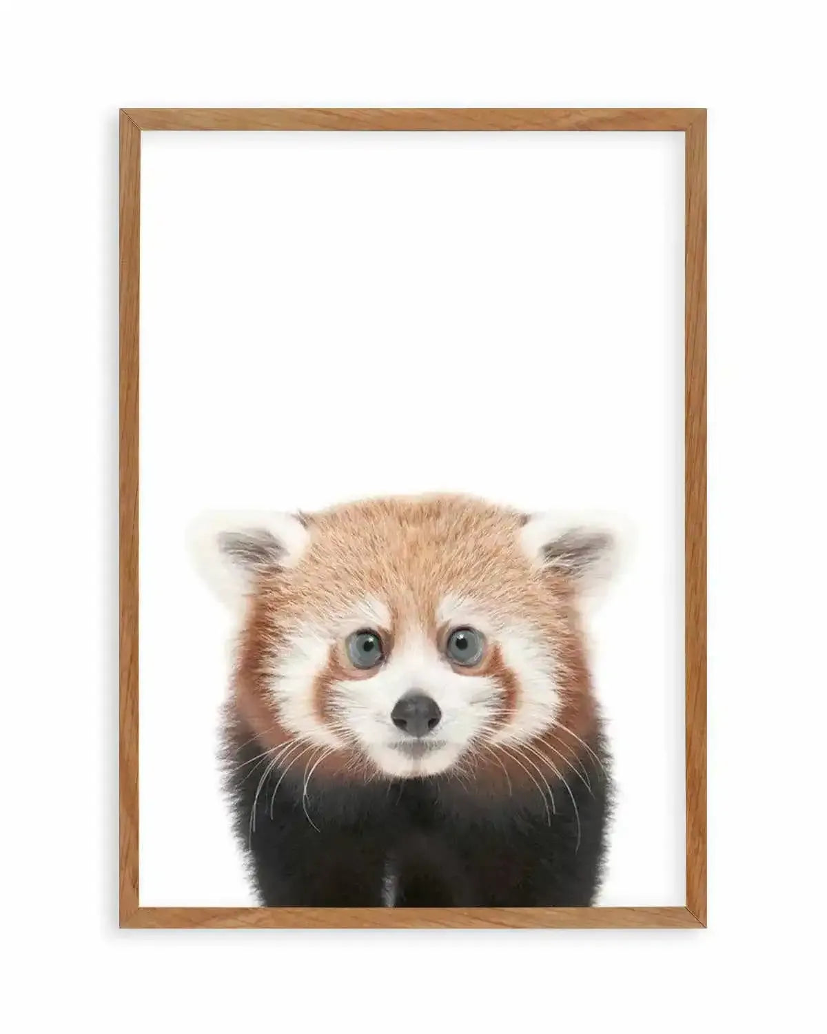 Little Red Panda Art Print from Olive et Oriel where you can shop wallpaper and artworks online
