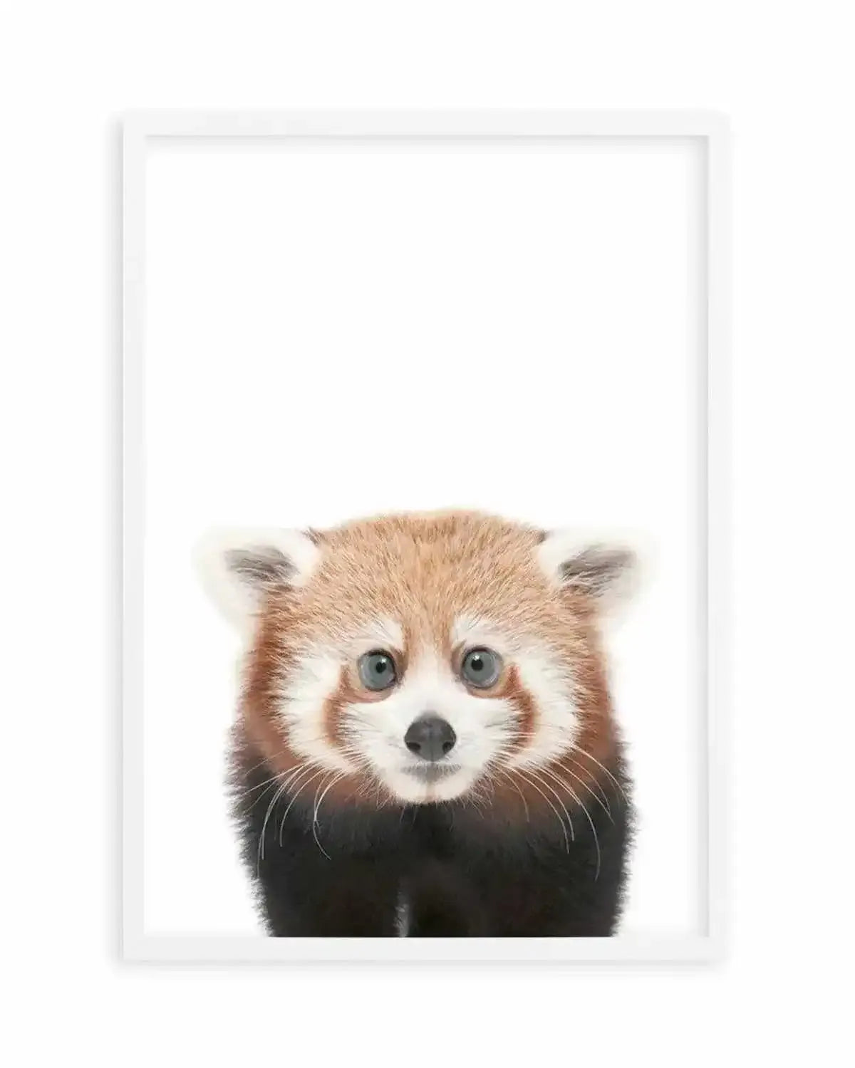 Little Red Panda Art Print from Olive et Oriel where you can shop wallpaper and artworks online