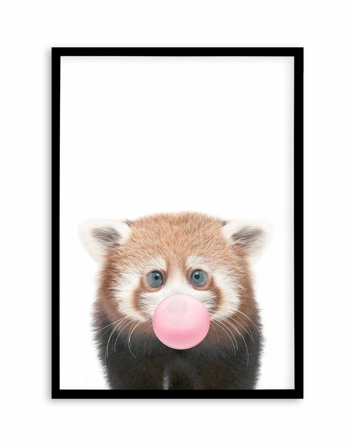 Little Red Panda | Blowing Pink Bubble Art Print